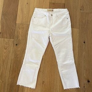 Indigo Saints Premium Denim 30